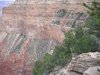 squirrel in Grand Canyon